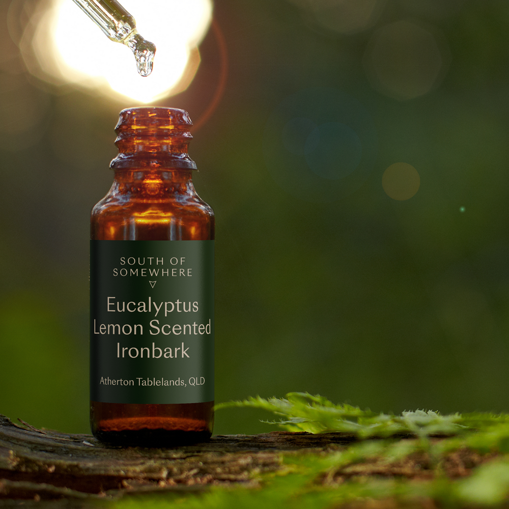 Eucalyptus_Essential_Oil_Bottle