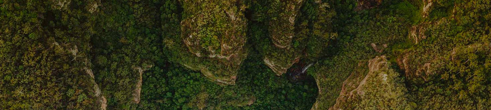 South_Of_Somewhere_Essential_Contact_Us_Form