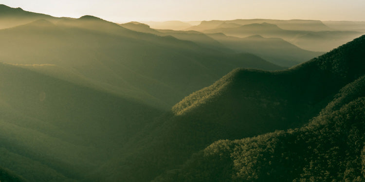 A landscape image of green mountains used for our Eucalyptus Blue Mallee Essential Oil