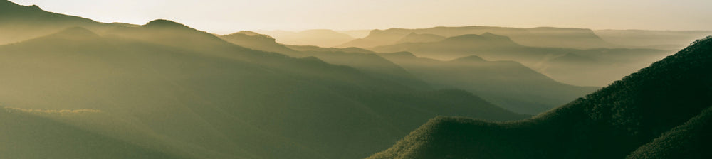 A landscape image of green mountains used for our Eucalyptus Broad Leaf Peppermint Essential Oil