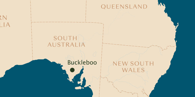 A map of the Southern Coast where Eucalyptus Blue Mallee is produced