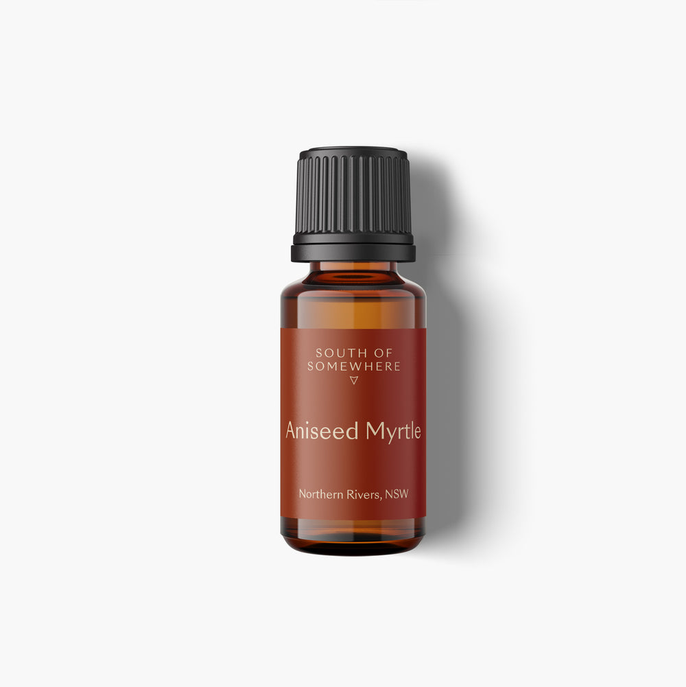 Aniseed Myrtle Essential Oil