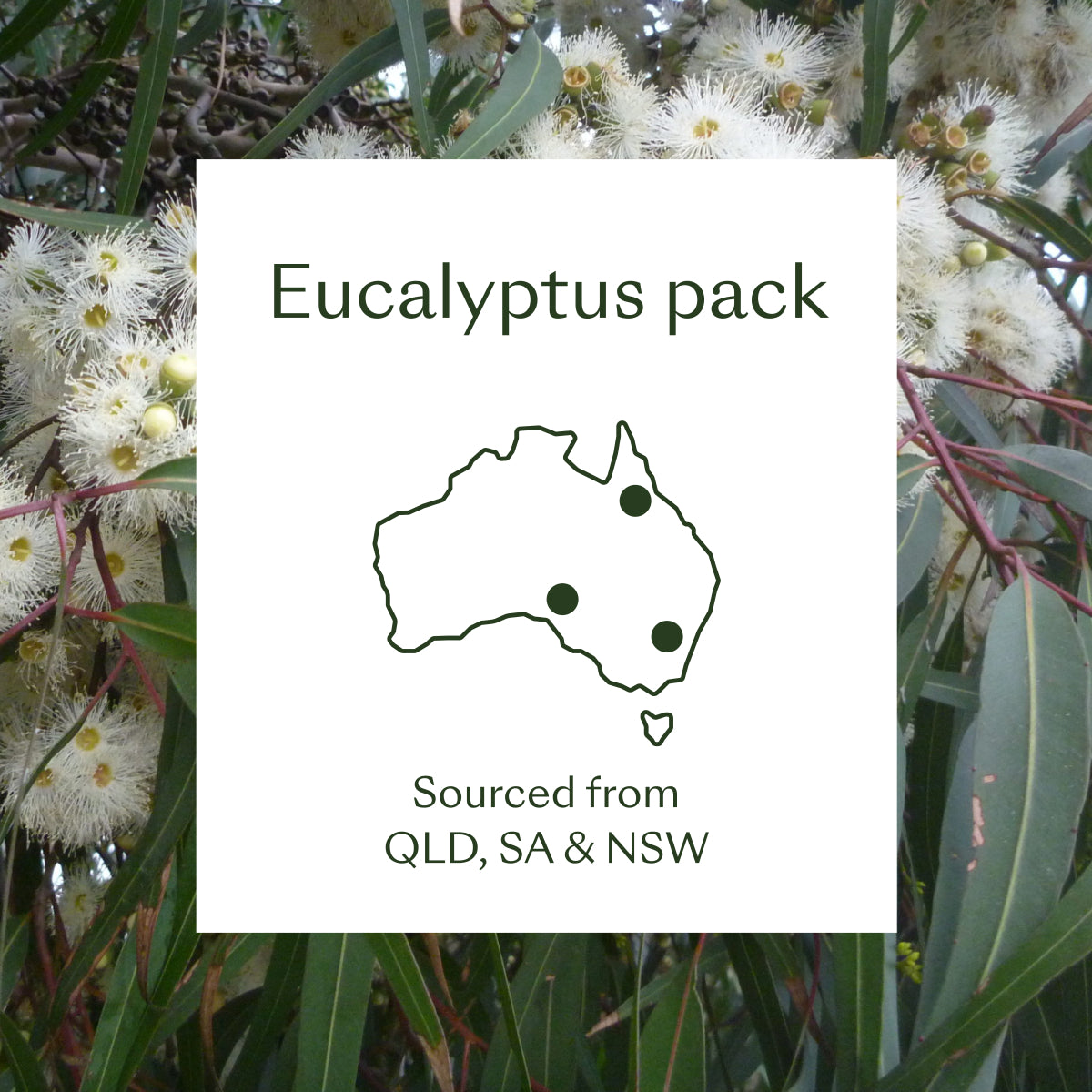 
                  
                    Eucalyptus Pack
                  
                