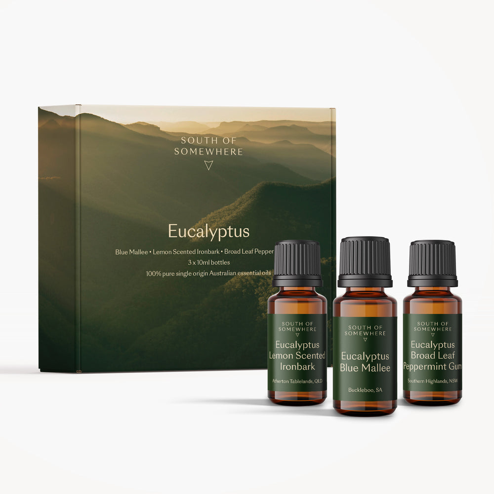 Eucalyptus Pack