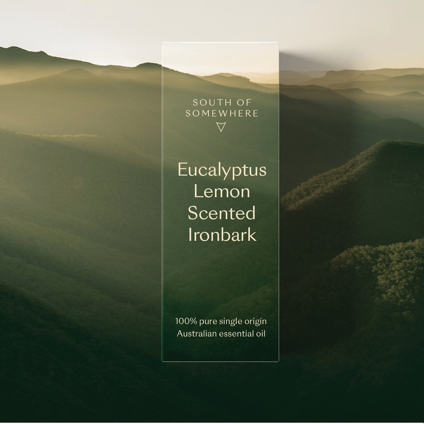 
                  
                    Eucalyptus Lemon Scented Ironbark Essential Oil
                  
                