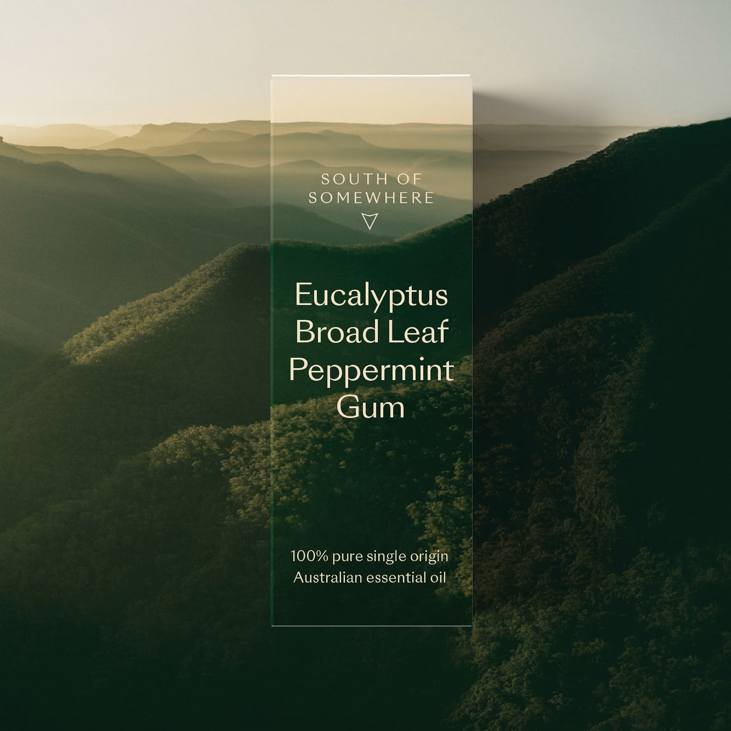 
                  
                    Eucalyptus Broad Leaf Peppermint Gum Essential Oil
                  
                
